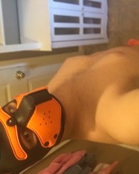 Pup scar photo