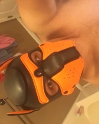 Pup scar photo