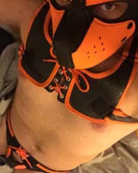 Pup scar photo