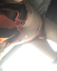 Pup scar photo