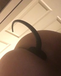 Pup scar photo