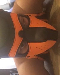 Pup scar photo