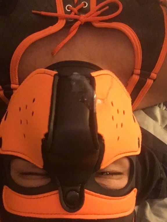 Pup scar