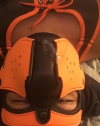 Pup scar photo