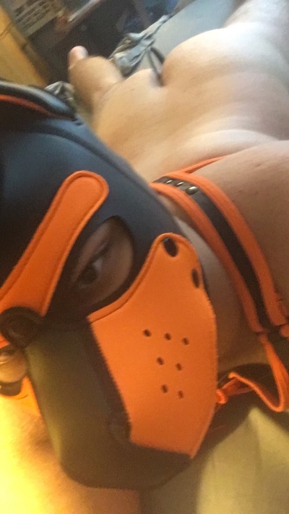 Pup scar