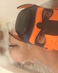 Pup scar photo