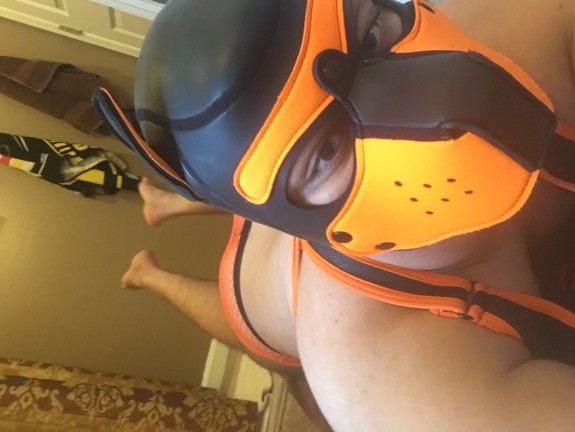 Pup scar