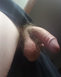 Guy wearing shorts with hung cock hanging out photo