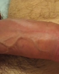 My cock end body photo