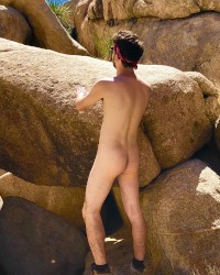 Joshua Tree photo