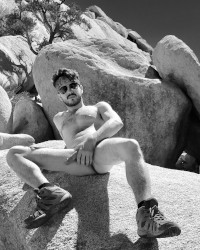 Joshua Tree photo