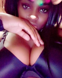 Cocoa photo