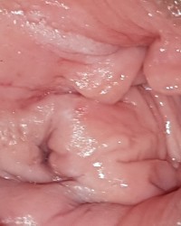 Deep pussy shots photo