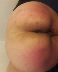 Sub • Kitten photo