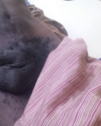 Fun with dick pics photo