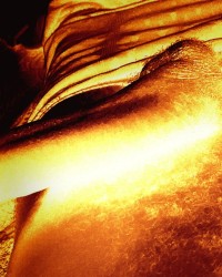 Fun with dick pics photo