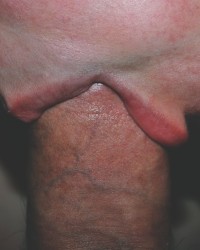 Miss Licky photo