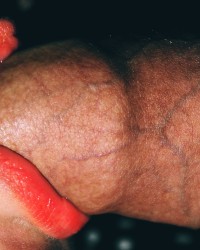 Miss Licky photo