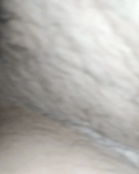 Many Creampies & squirting pussy gifs hot milf female orgasms gushing pussy photo