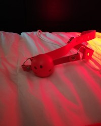 CamVday photo