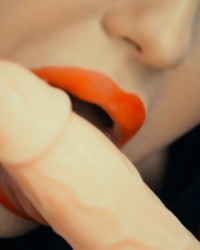 Noxplay-online photo