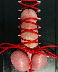 Cock bondage photo