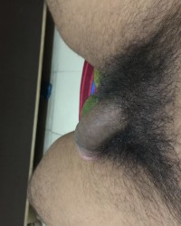Indian Cock pics photo