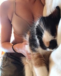 Fall 18 - Winter 18 Nudes photo