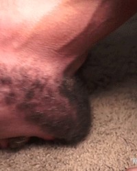 Kenny's Raw Fucks Vol 2 photo