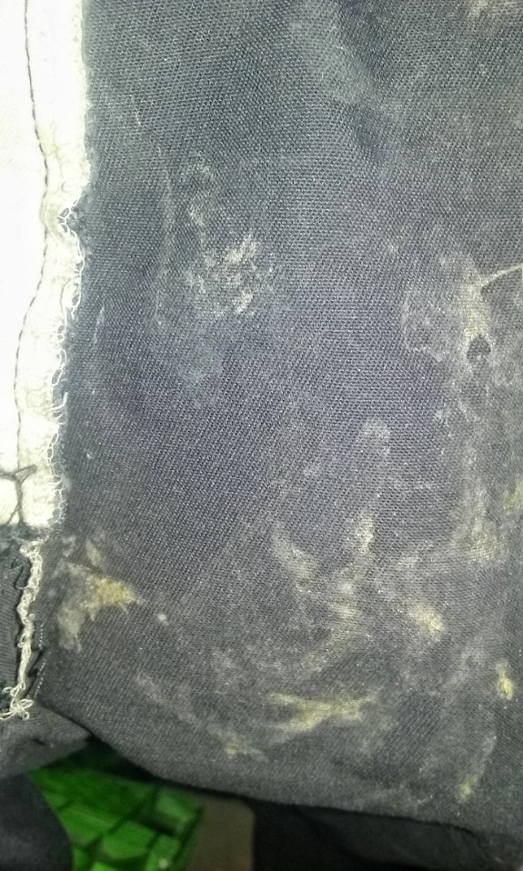 Old duckies cum rag