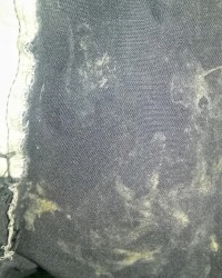 Old duckies cum rag photo