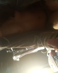 Bite me, choke me photo