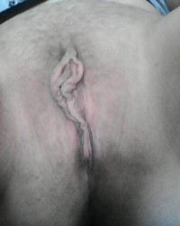 My Pussy photo