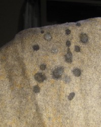 selections from FIONA's FJ & HJ nooner (more at blog) photo