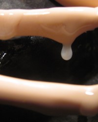 selections from FIONA's FJ & HJ nooner (more at blog) photo