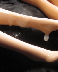 selections from FIONA's FJ & HJ nooner (more at blog) photo