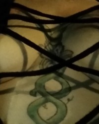 walking on a beautiful day with the tits about to come out shirt photo