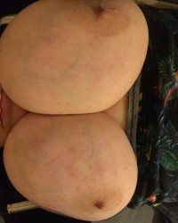 Pumpkin Tits ;) photo