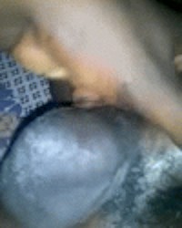 black cock photo
