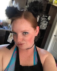 Naughty kitten photo