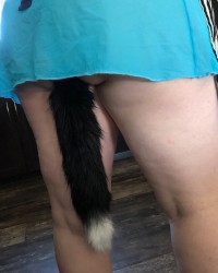 Naughty kitten photo