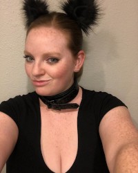 Naughty kitten photo