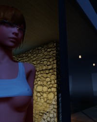 3dxChat - The First Night photo