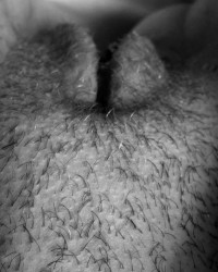 Hairy Pussy photo