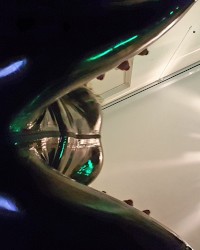 Miss Suz Latex photo