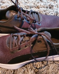 Puma Sneaker photo