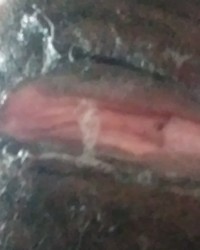 Cami Creams Super Wet and Grooly Pussy photo
