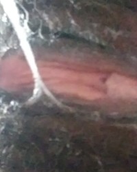 Cami Creams Super Wet and Grooly Pussy photo