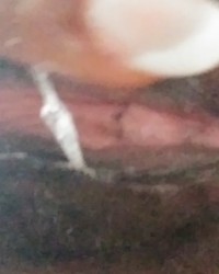 Cami Creams Super Wet and Grooly Pussy photo