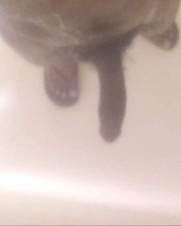 My dick photo